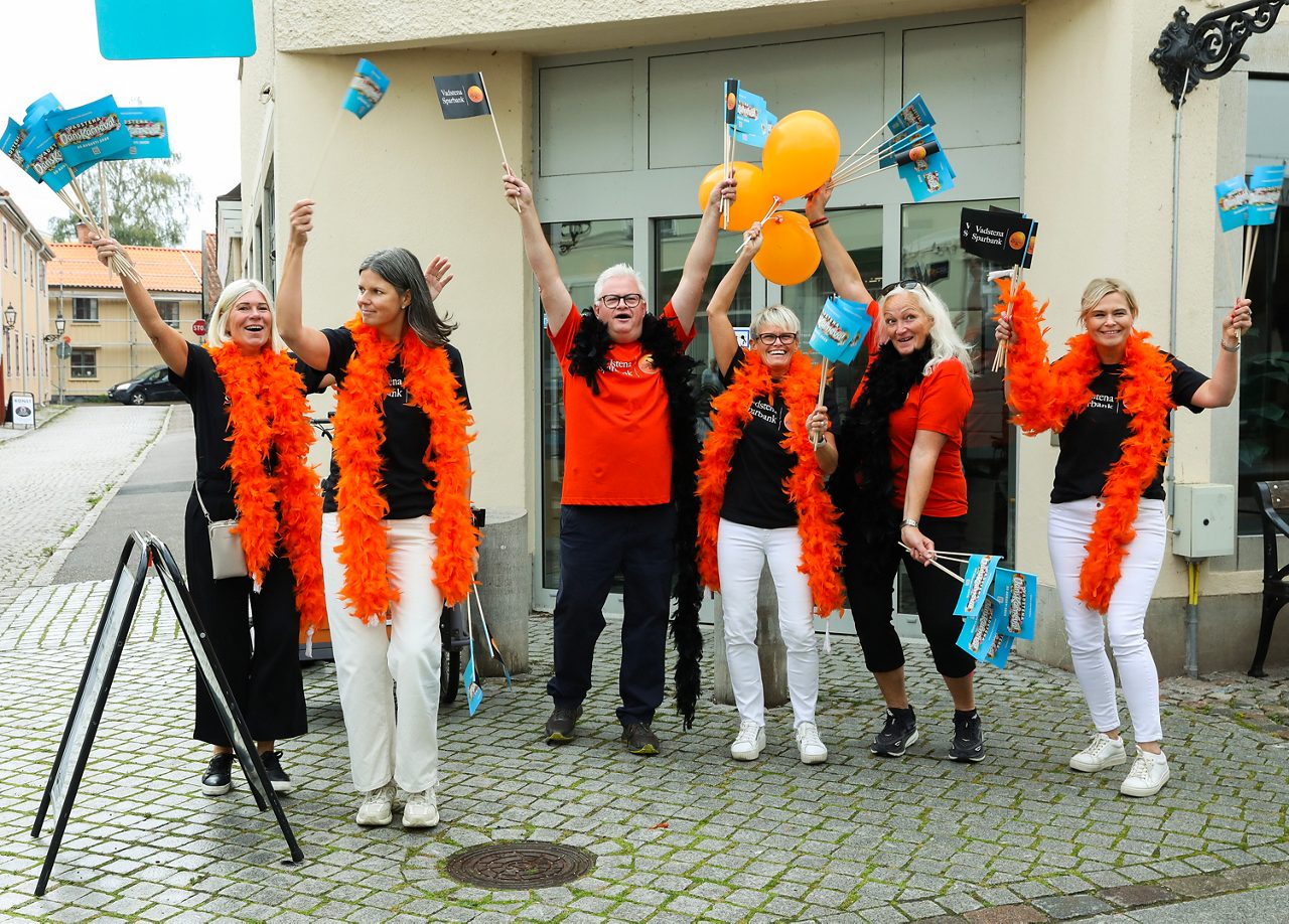 Dance carnival in Vadstena