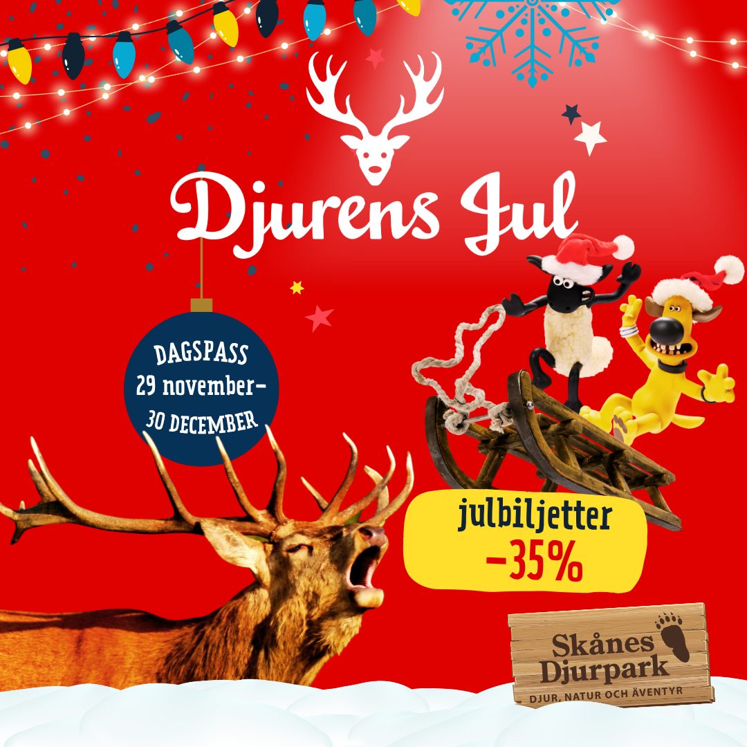 En hjort och fåret Shaun med sin vän åker kälke