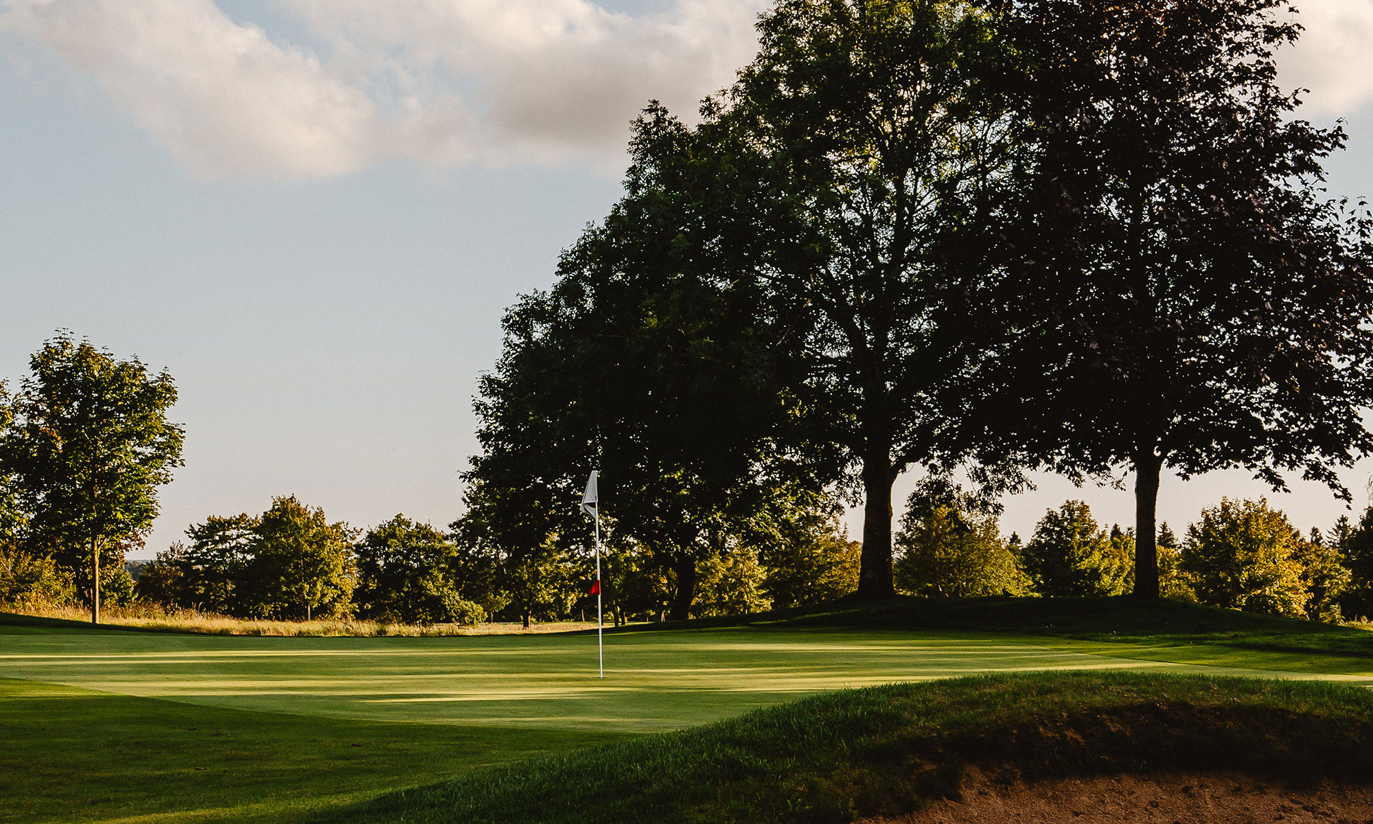 A golfgreen with a flag