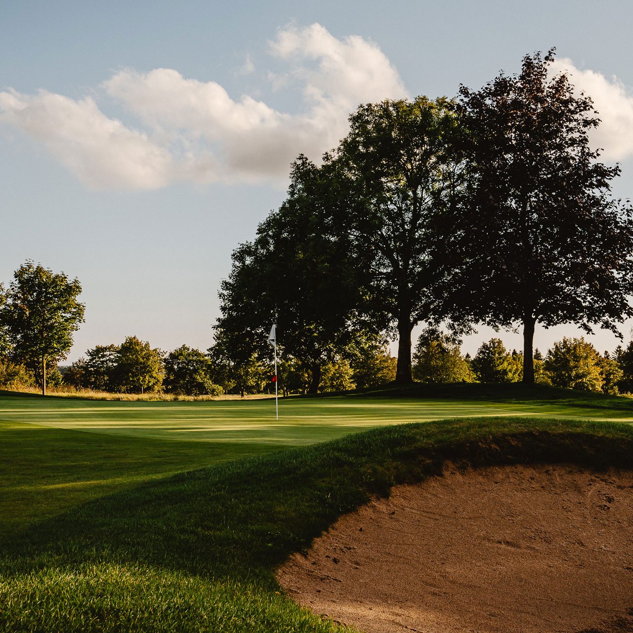 A golfgreen with a flag