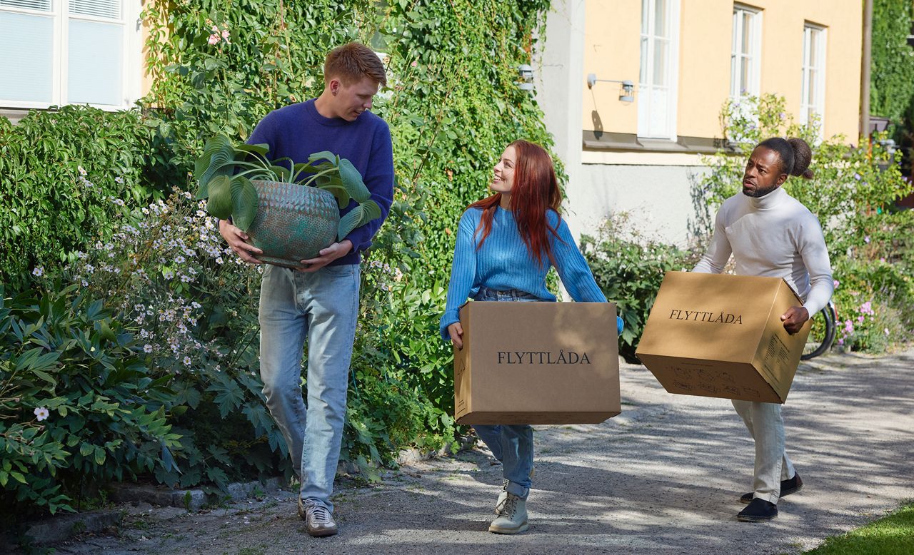 Två killar och en tjej som bär på flyttlådor och en planta