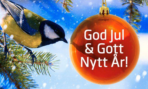 Julhälsning med en sparv på en grankvist