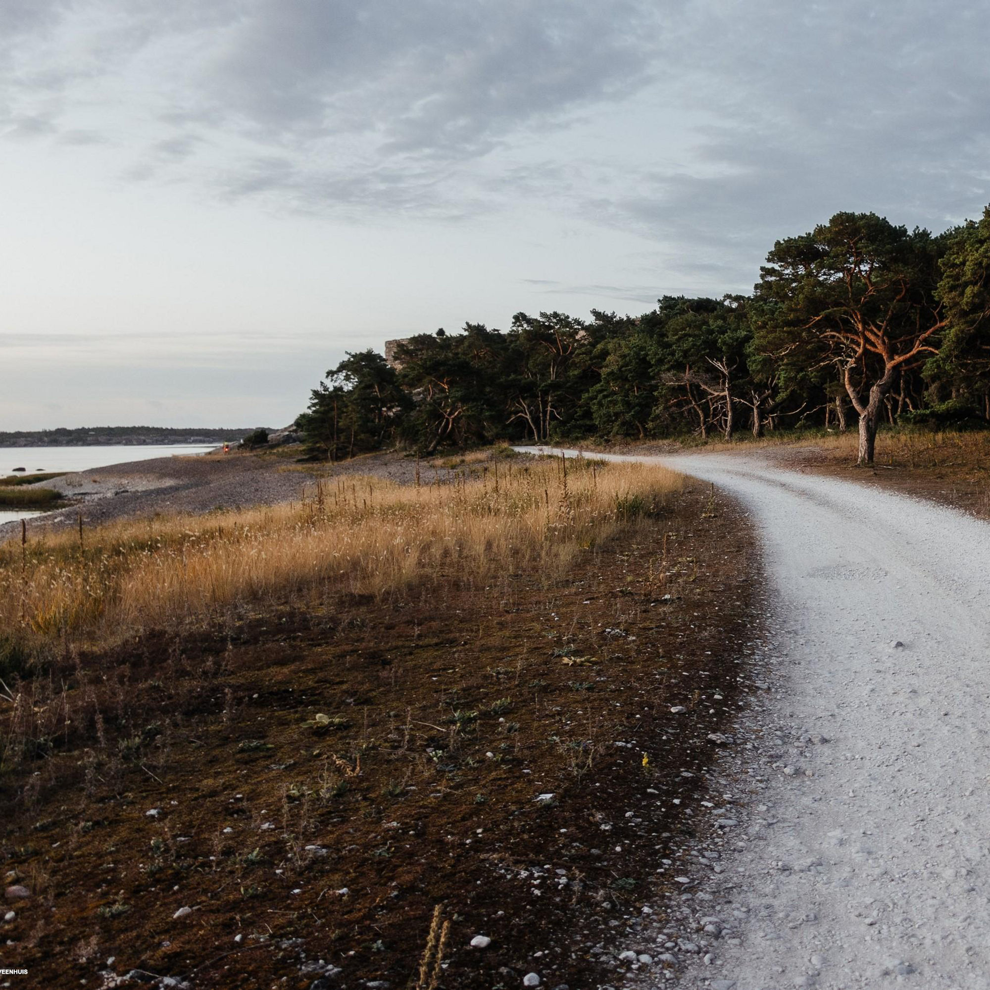 Grusväg på Gotland