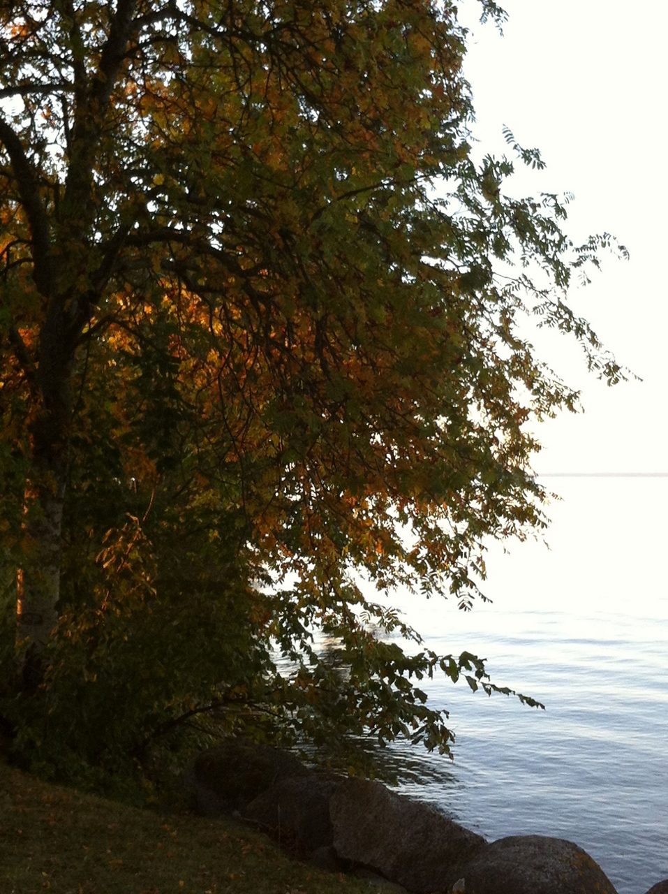 Autumn picture 
