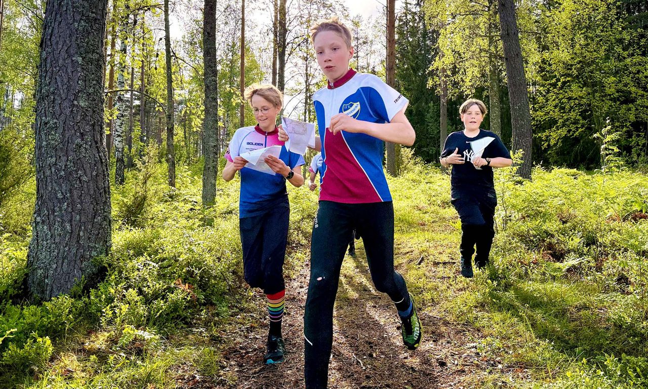 Tre barn som orienterar i skogen.