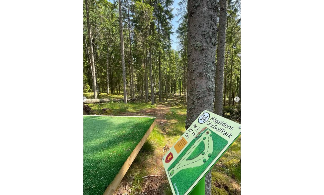 Discgolfbana i en skog