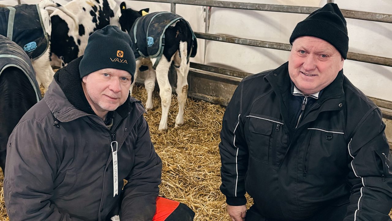 Ett foto på Mattias och Fredrik Lindberg