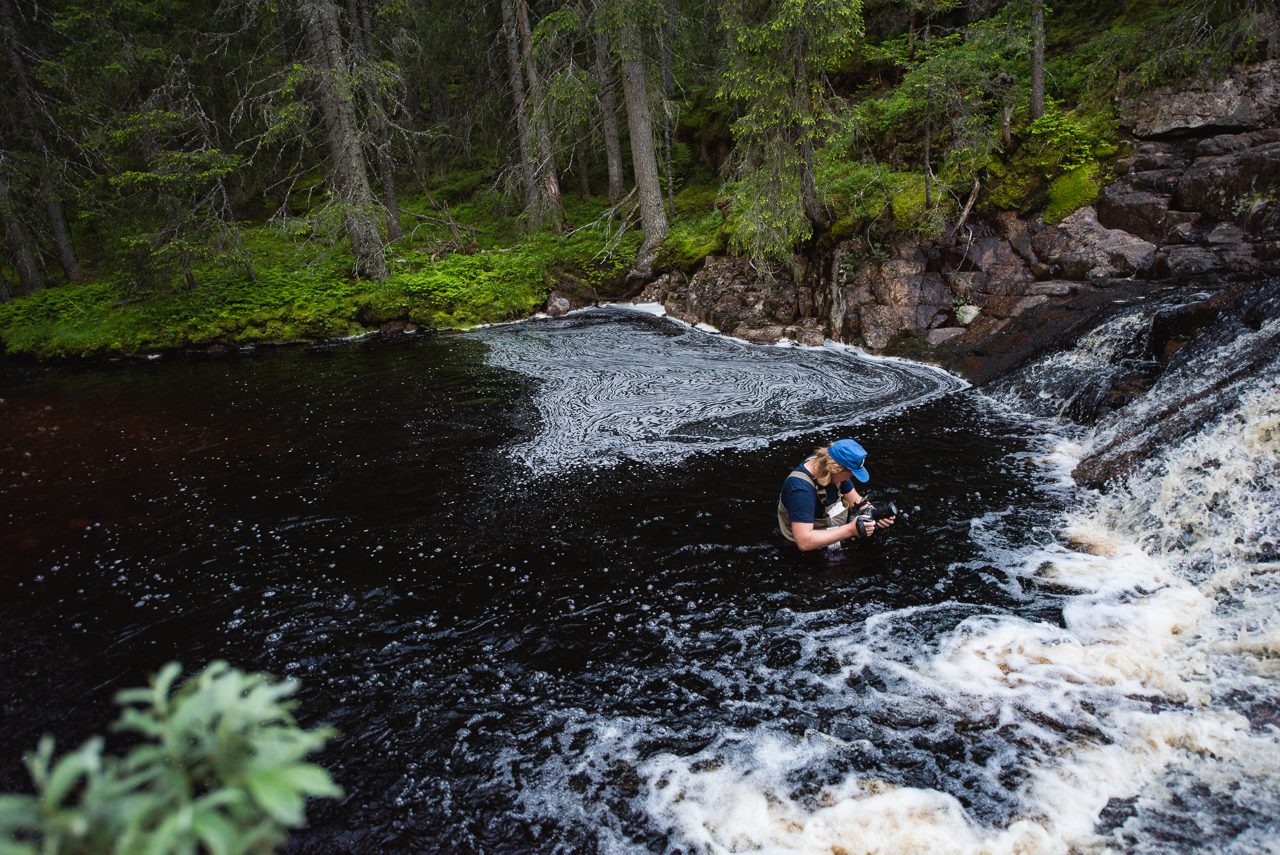 Fotografen och filmaren Julius Aspman på uppdrag i naturen runtomkring i Dalarna.