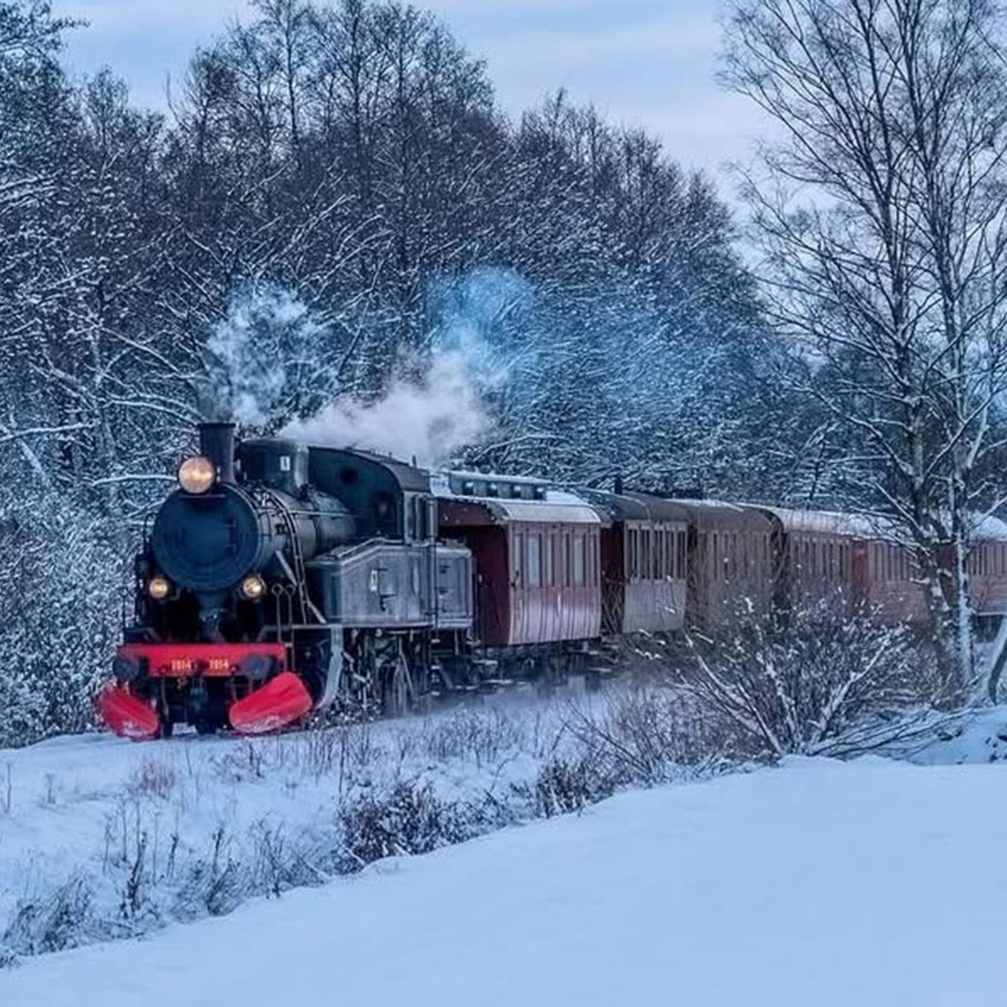 Steamtrain on railroad in winter