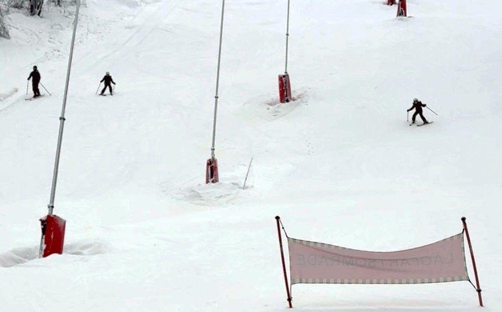 Bild på barn som åker slalom ner för skidbacken