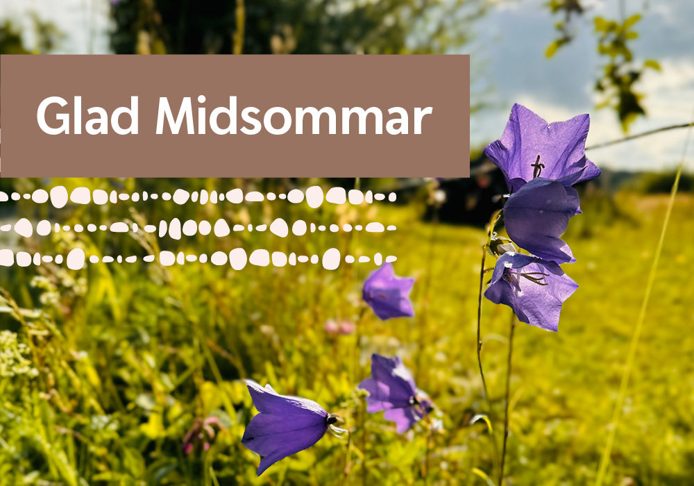 Närbild på en blåklocka i vägkanten med texten Glad midsommar