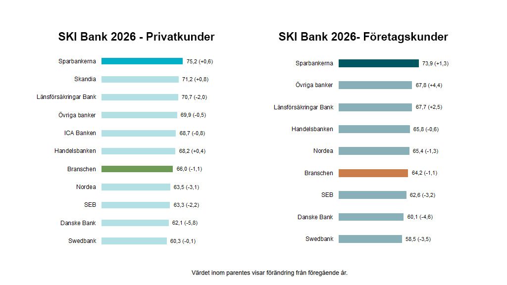 SKI diagram för privat och företag