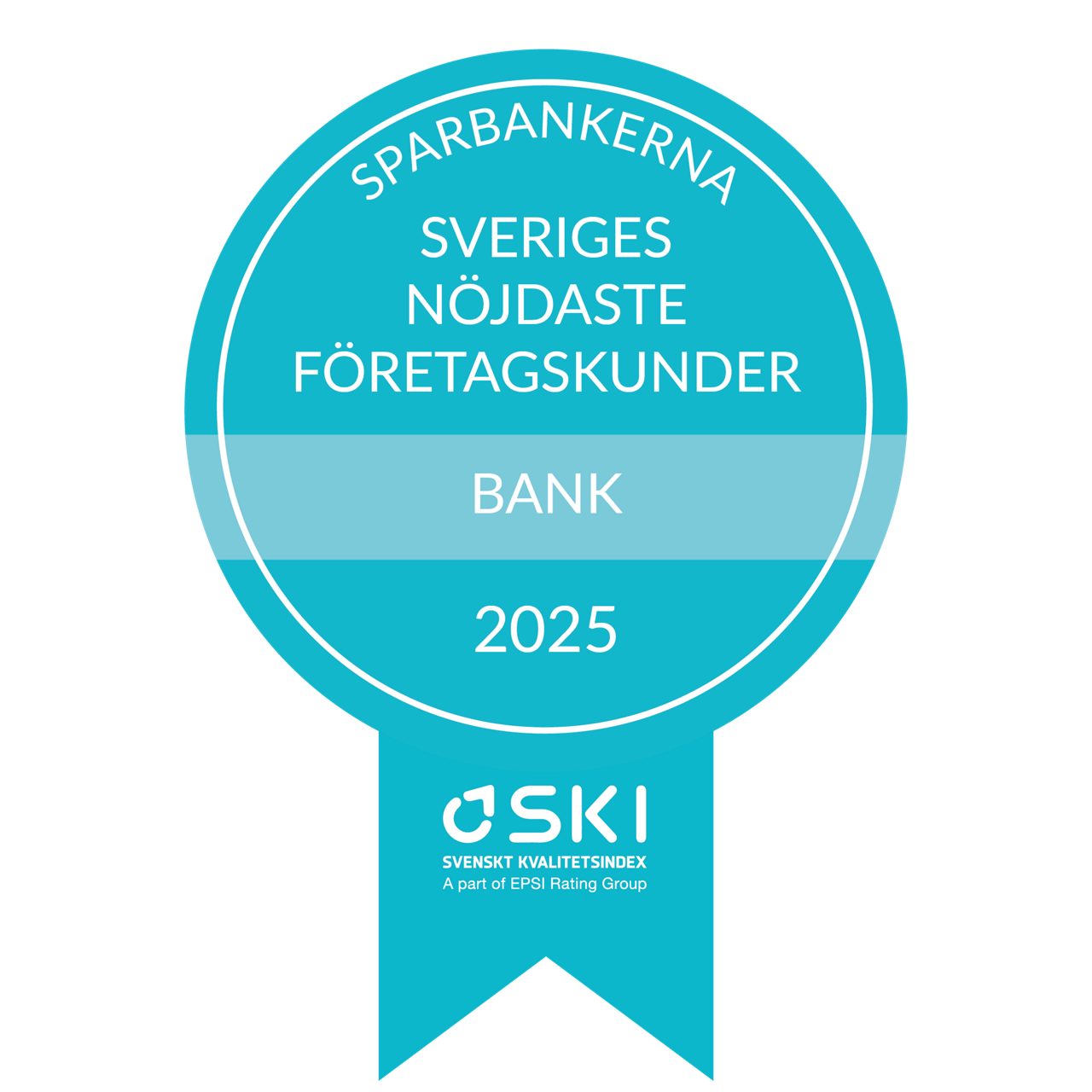 SKI företag 2025