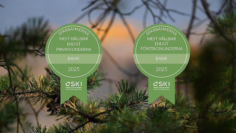 Hållbarhets SKI 2025