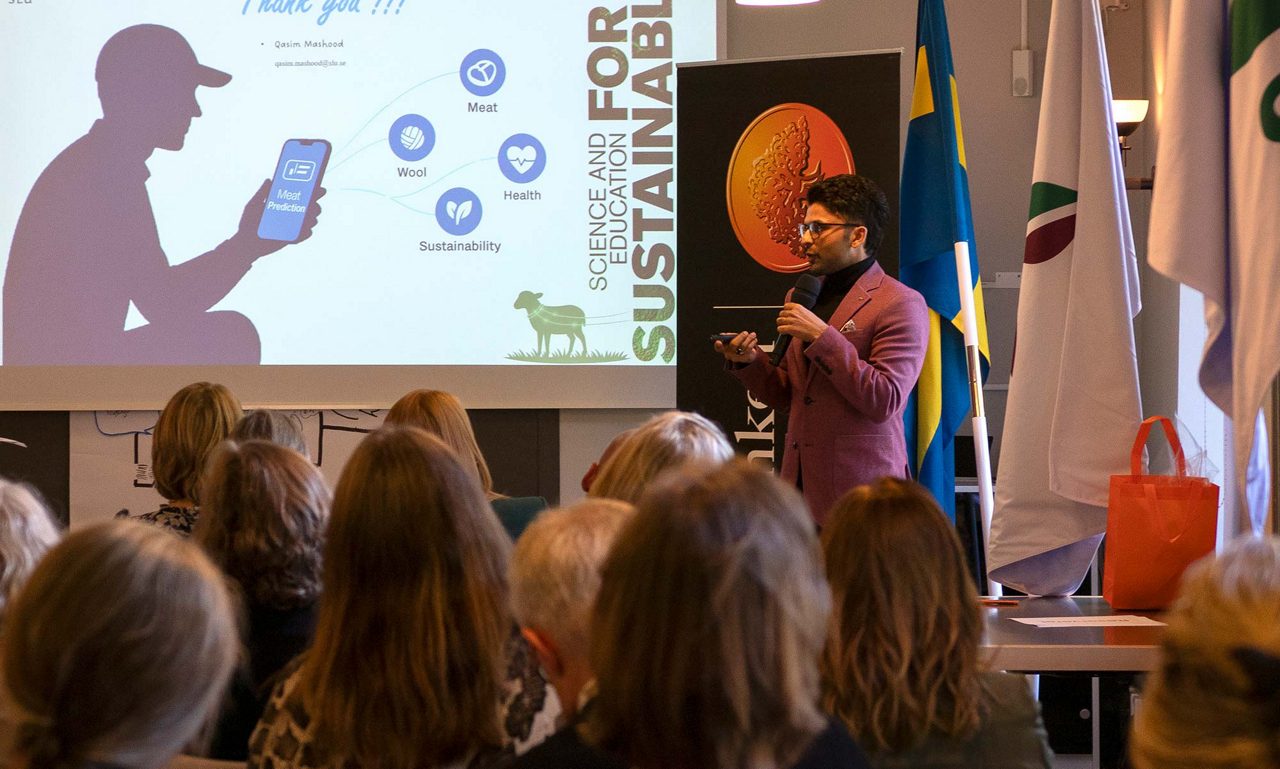  Årets tillväxtpris, Smart Lamb av Qasim Mashood
