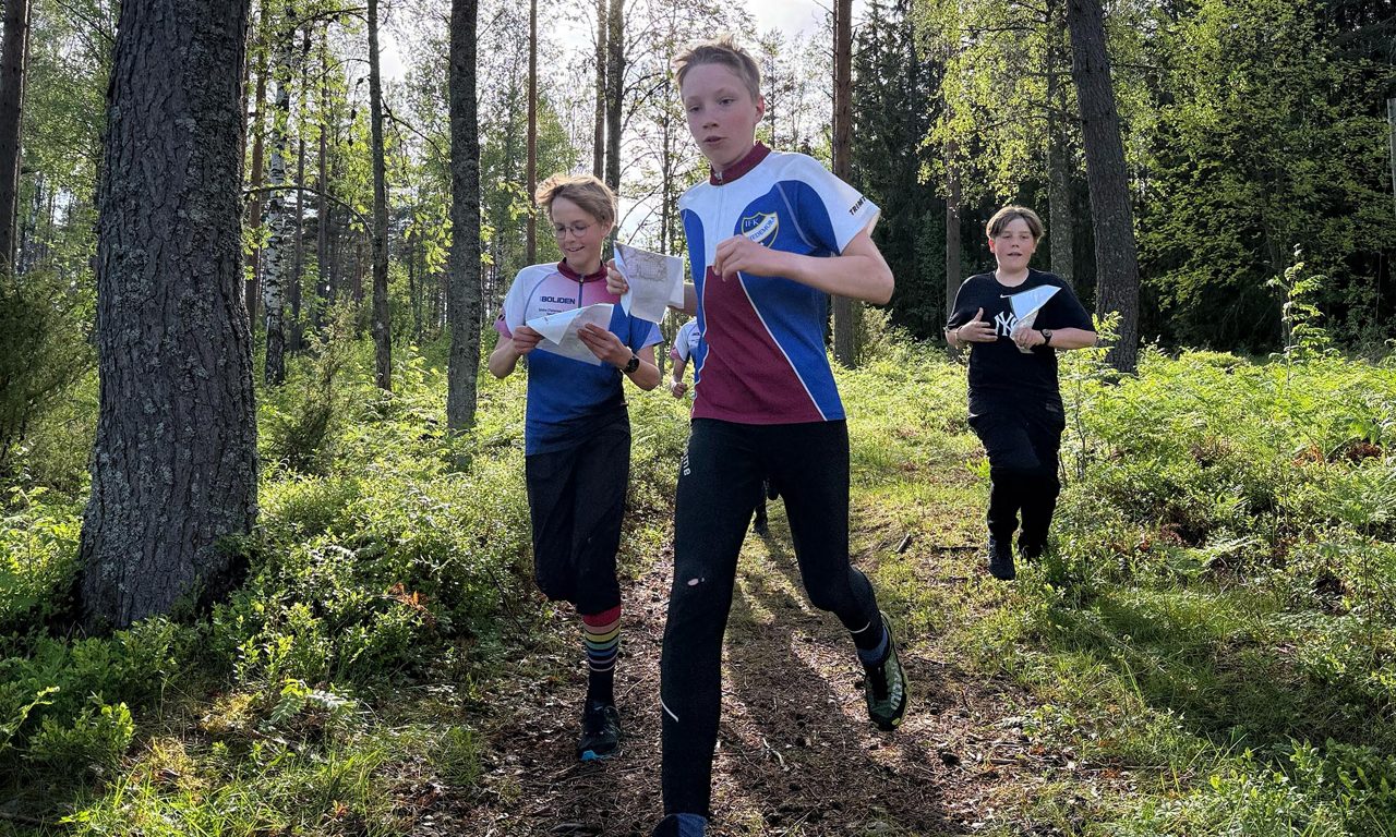 Tre barn som orienterar i skogen