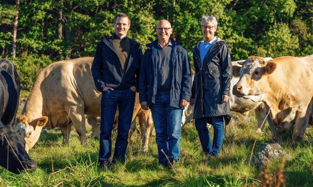 Tre personer står leende i en kohage omgivna av betande kor.