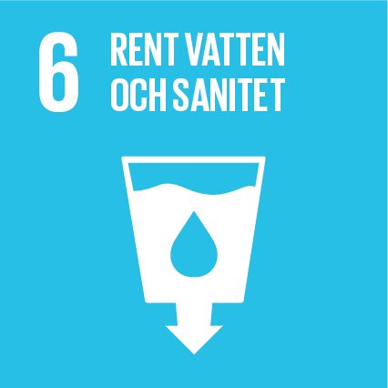 Global Goal number 6