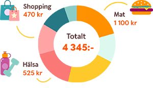 Graf som visar exempel från utgiftskollen. Tjänsten som automatiskt kategoriserar dina utgifter och ger dig en överblick över din ekonomi.