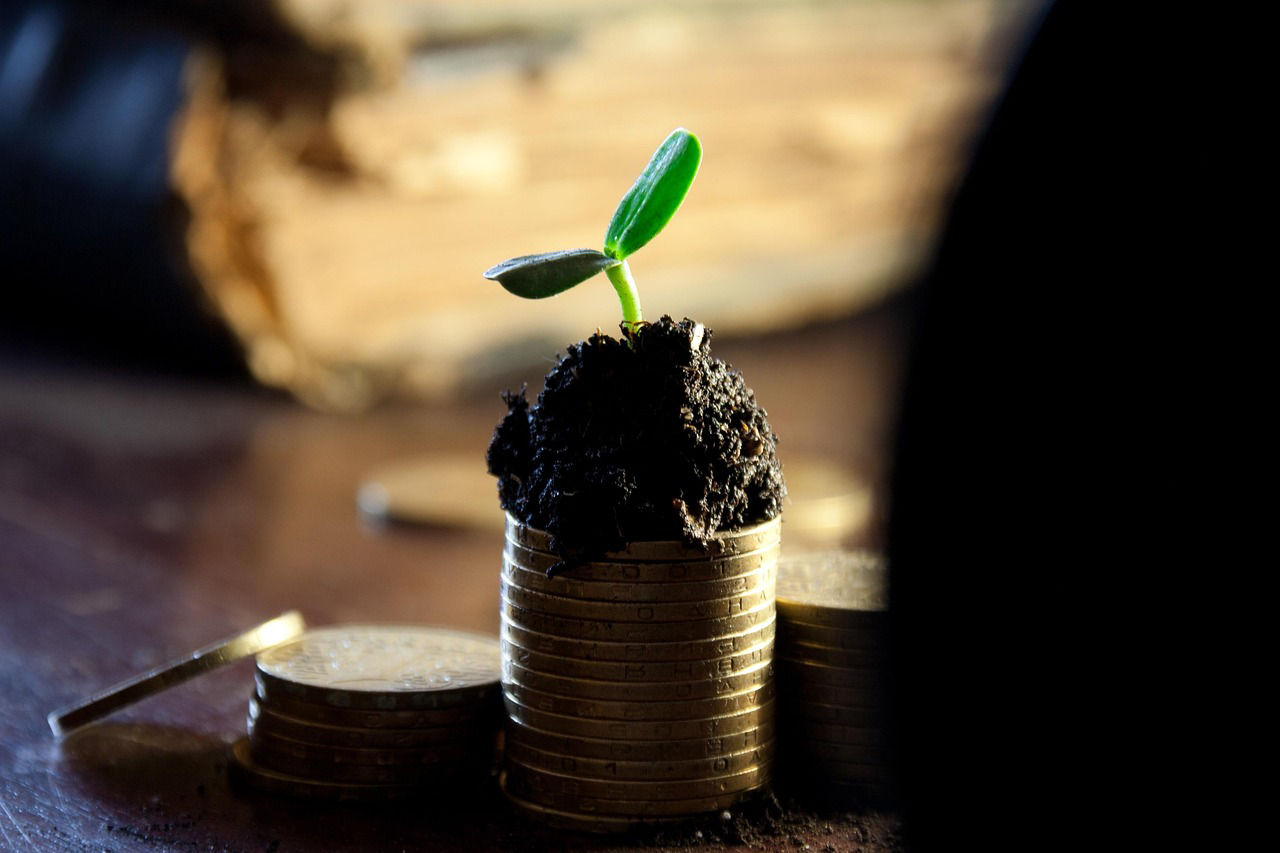 En liten planta växer ut en stapel med mynt 