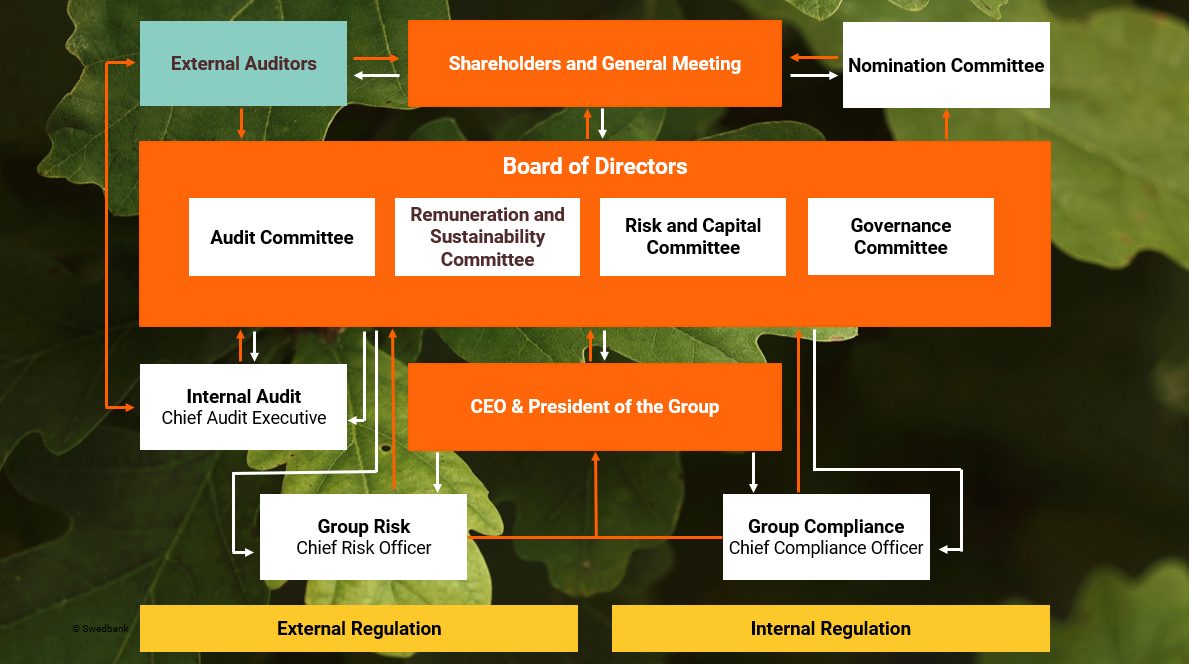 Illustration of the corporate governance structure