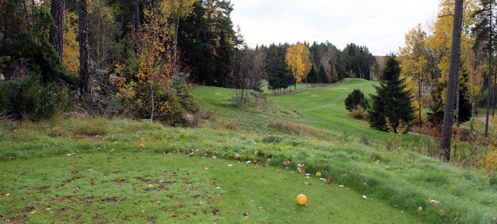 En gul golfboll på en golfbana på hösten