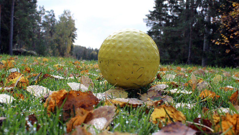 En gul golfboll på en gräsmatta med höstlöv