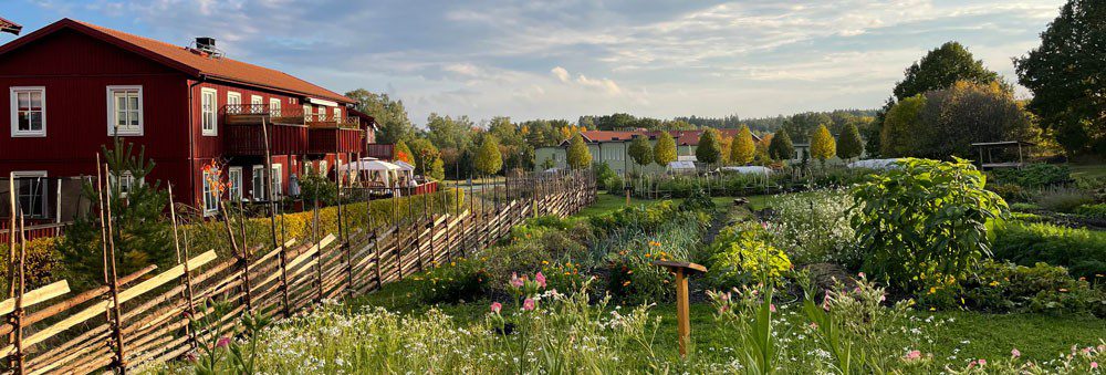 Grönskande odlingar i sol med ett rött hus