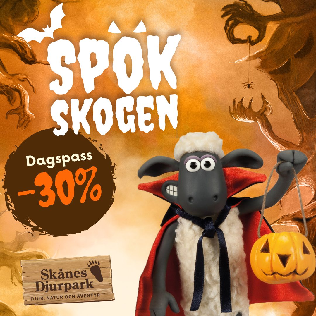 Bild för Spökskogen visar karaktären Fåret Shaun, klädd i en fårdräkt och hållande en utskuren pumpalykta. Den övergripande designen förmedlar en lekfull Halloweenkänsla som riktar sig till familjer och barn.