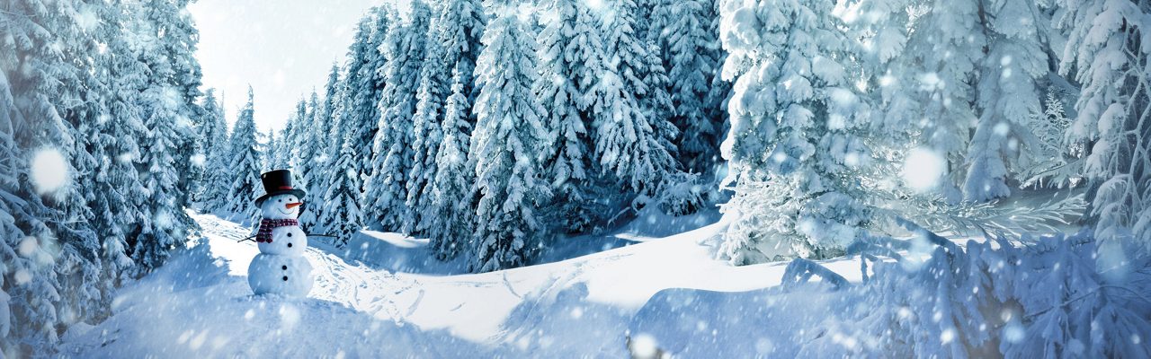 Snögubbe i en vintrig skog