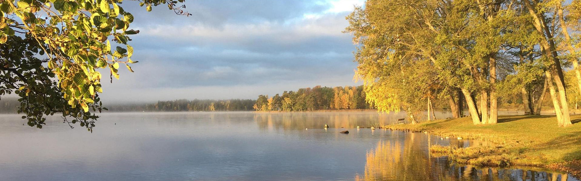 höst vid sjö 1