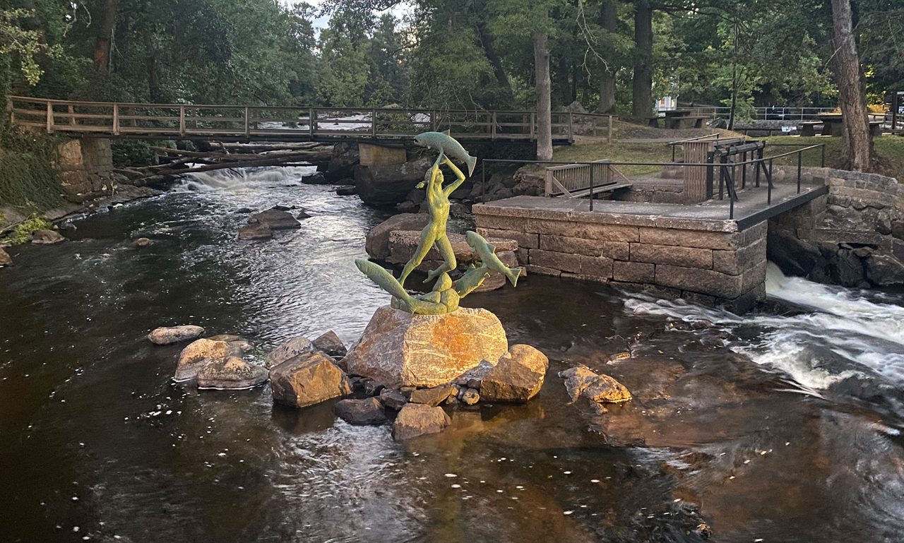 Laxflickan på sin nya plats i ån som lyses upp på kvällen.