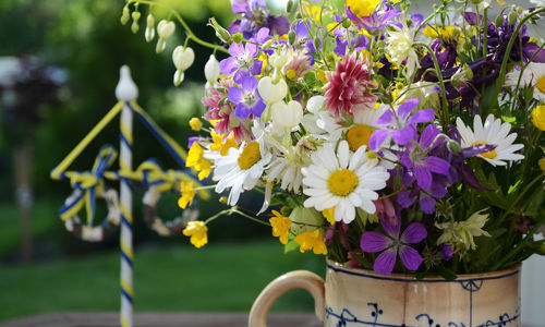 Midsommarblommor