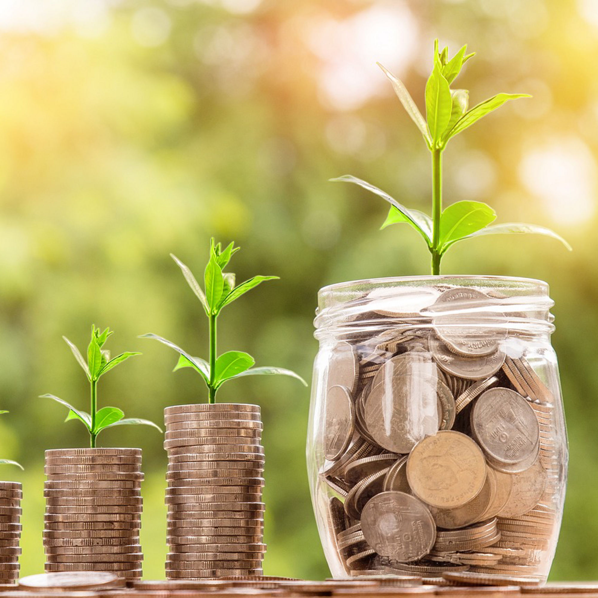 Plantor växer ur mynt