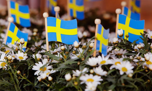Swedish flags
