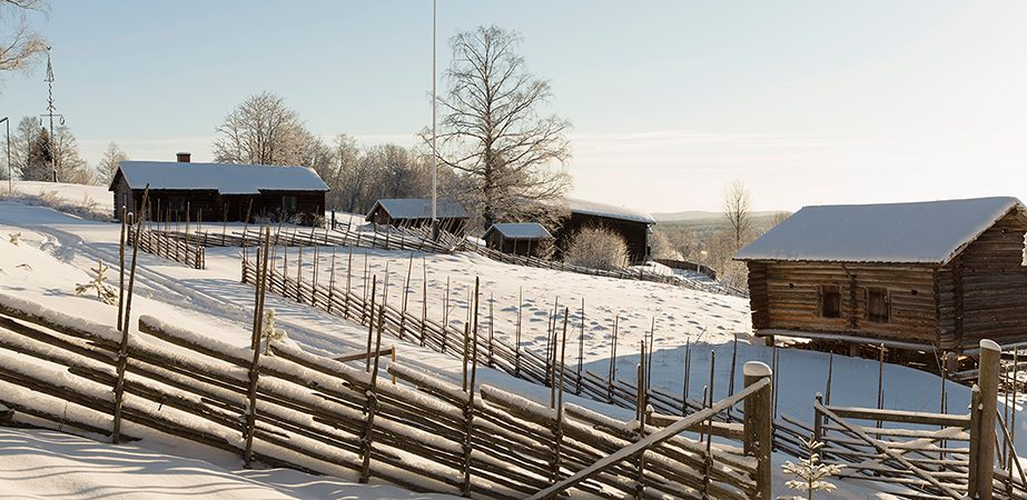 winter_at_Dossberget