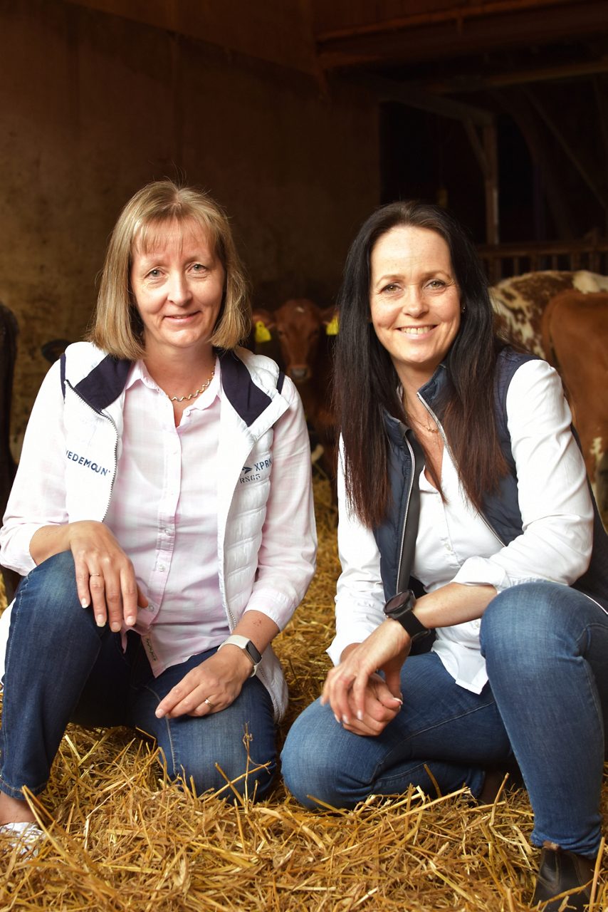 Monica Thelin och Sara Moberg, skog- och lantbrukspecialister på Sparbanken Tanum i en ladugård med kossor i bakgrunden
