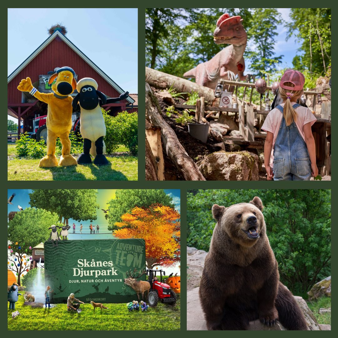 Detta kollage visar scener från Skånes Djurpark, en djur- och äventyrspark. Bilderna visar kostymerade karaktärer, ett barn som observerar en dinosauriemodell och en stor brunbjörn.