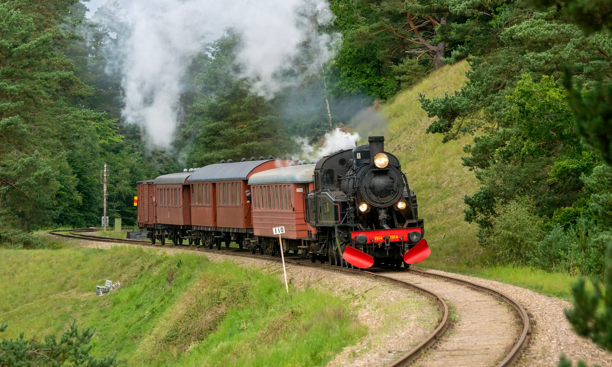 Veterant ånglok på skogsbana i kurva