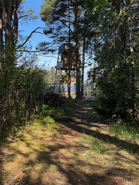 Invigning av fågeltornet i byn Tina, Rättvik.