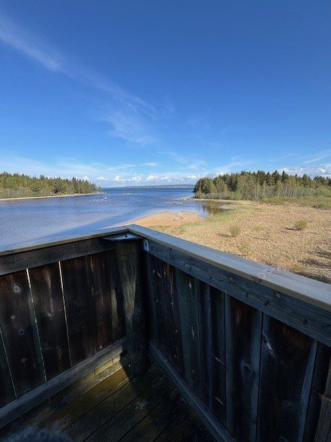 Invigning av fågeltornet i byn Tina, Rättvik.