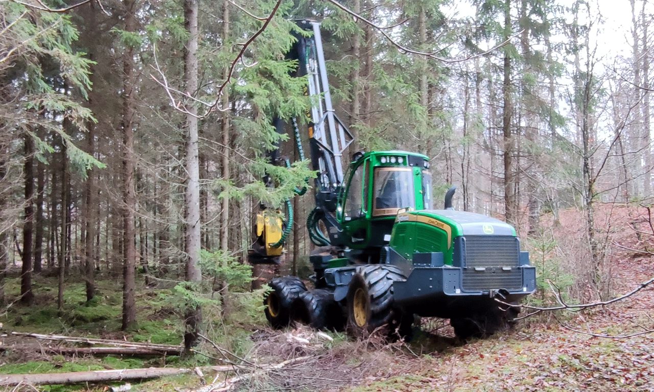 bild på en skogsmaskin som arbetar i skogen