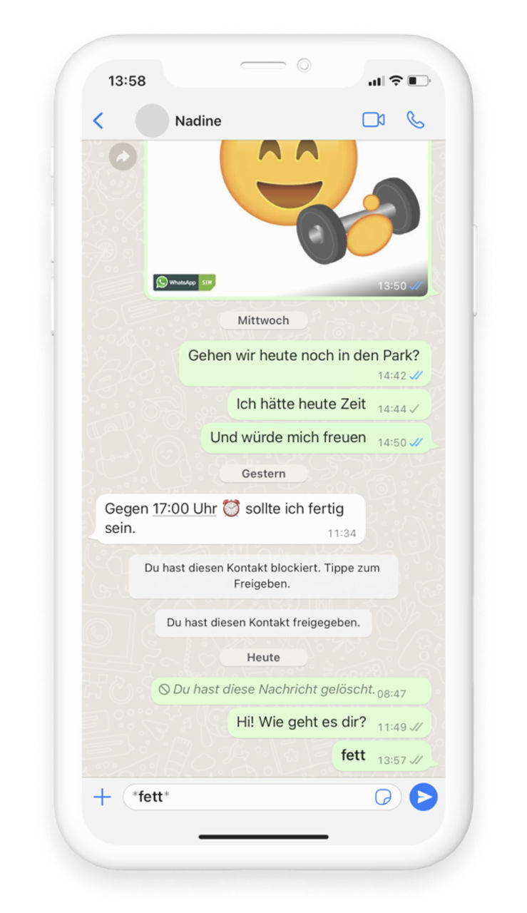 Ein Screenshot eines WhatsApp Chats, im Eingabefeld wurde "*fett*" geschrieben.