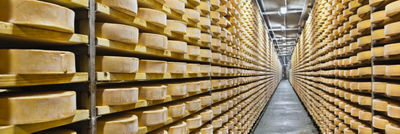 Käselaibe im Lager