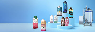 maquinario de processamento requeijão e queijos processados