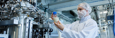 maquinario de processamento requeijão e queijos processados