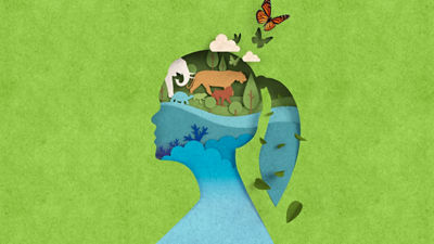 mujer en cartón con animales y biodiversidad 