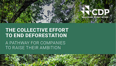 Informe forestal del CDP