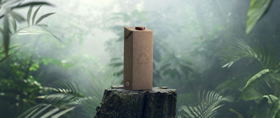 Carton in the forest