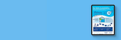 Infográfico sobre o CIC